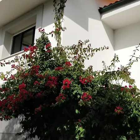 La Raigada Maravilloso A Pie De Playa بيت للعطل ريباذيسييّا